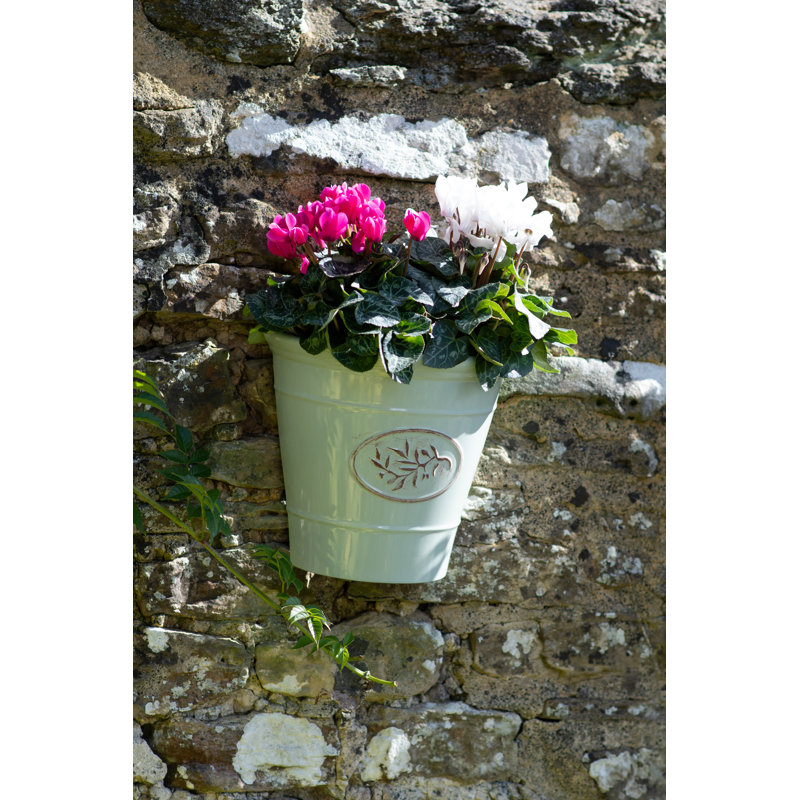 Lily Manor Dinardo Plastic Wall Planter Wayfair.co.uk